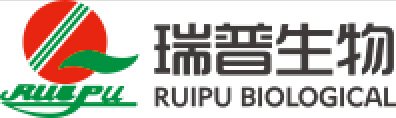 Ruipu Biological