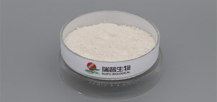 Supermicro Ferric Pyrophosphate