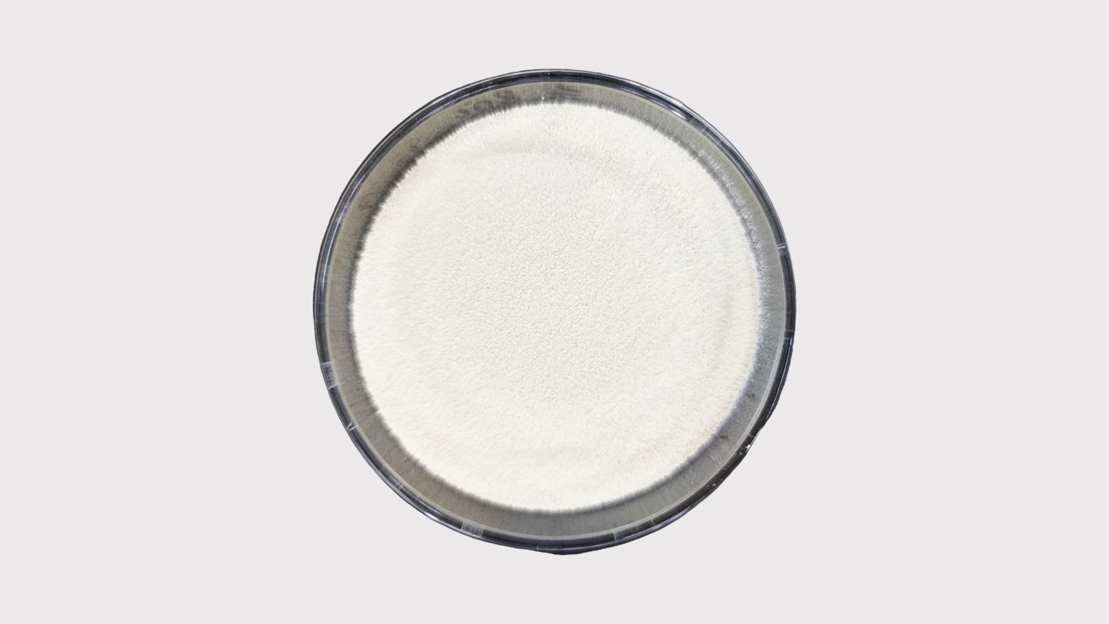 Liposomal Resveratrol