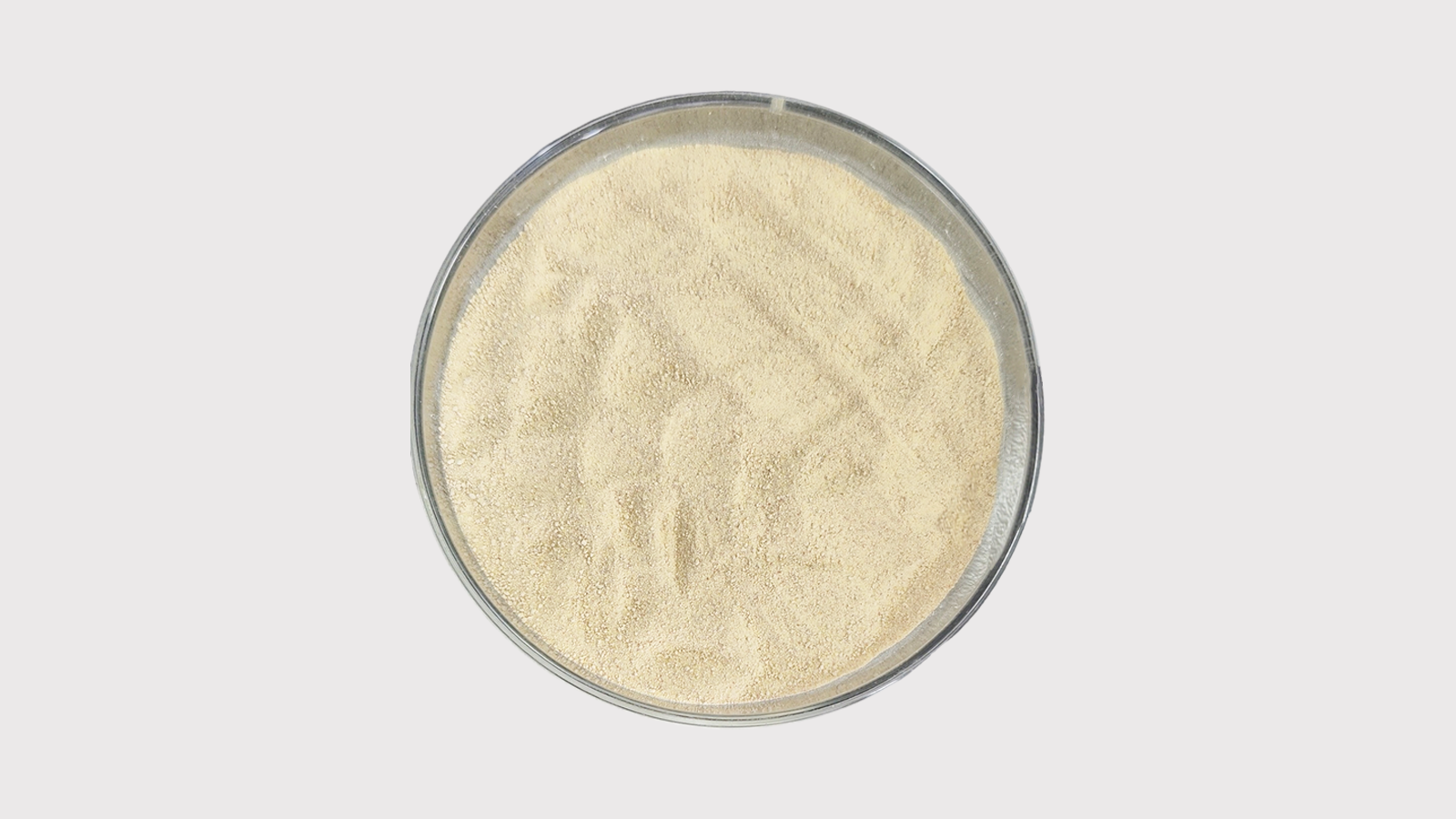 Liposomal Silymarin
